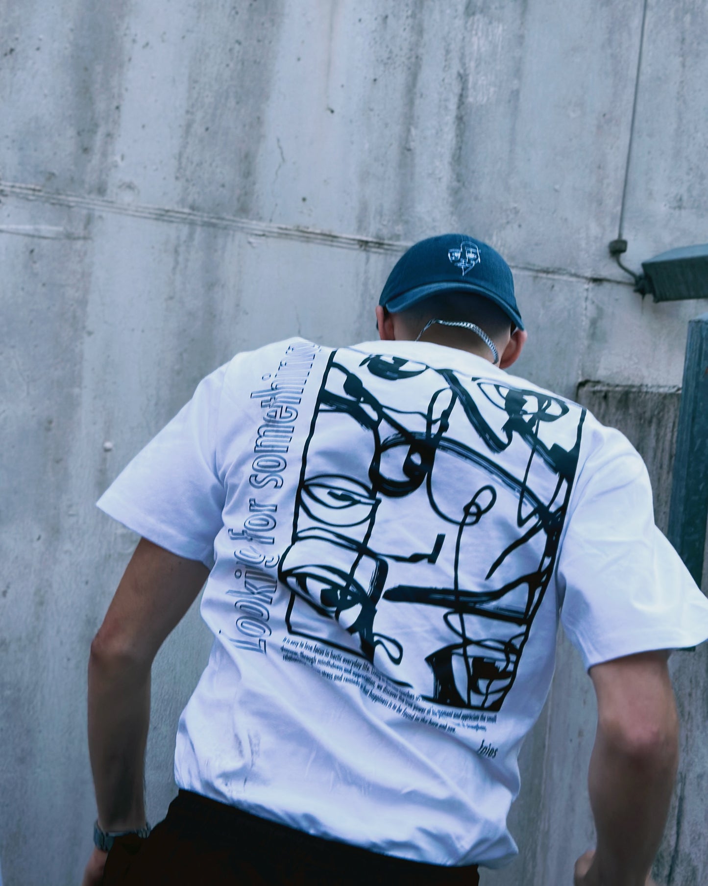 faies tshirt looking for something